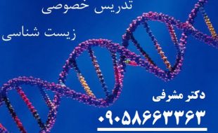 تدریس خصوصی زیست شناسی - معلم خصوصی زیست شناسی کنکور تضمینی | تدریس زیست شناسی از پایه تا کنکور، تقویتی، تیزهوشان و المپیاد با 15 سال تجربه