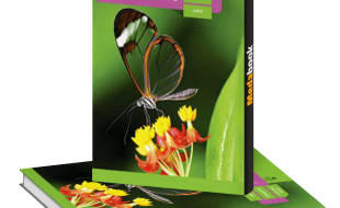 تدریس خصوصی و گروهی درس زیست شناسی توسط مدرس خانم و فارغ التحصیل زیست شناسی با 10 سال سابقه ی تدریس موفق، بیان خوب و روابط عمومی بالا☺️🤚